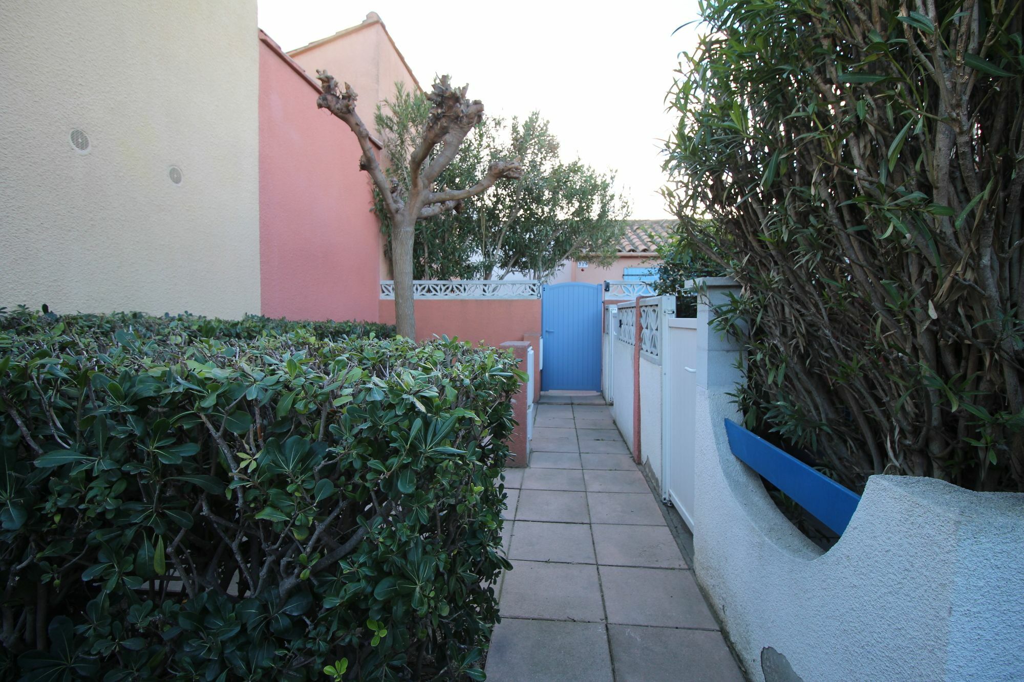Appartement Charmant A Canet En Roussillon 36 M² Piscine Partagee Zewnętrze zdjęcie